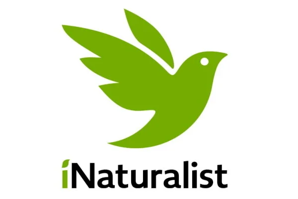 iNaturalist logo_text 600x400.jpg