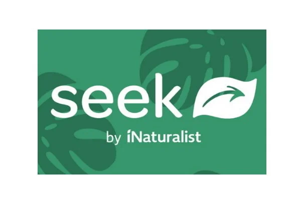 Seek logo_text v3 600x400.jpg