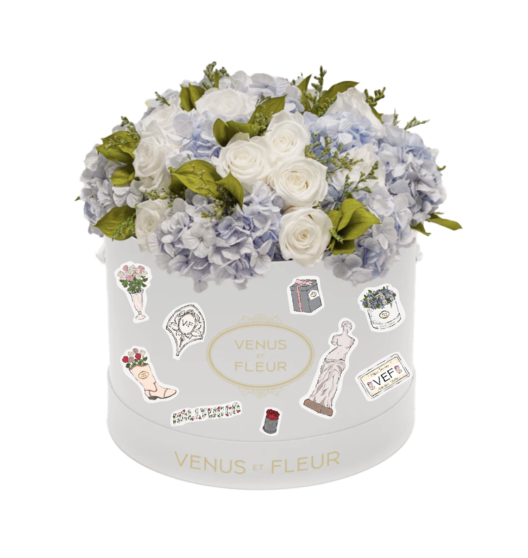 VENUS_ET_FLEUR_FLOWER3.png