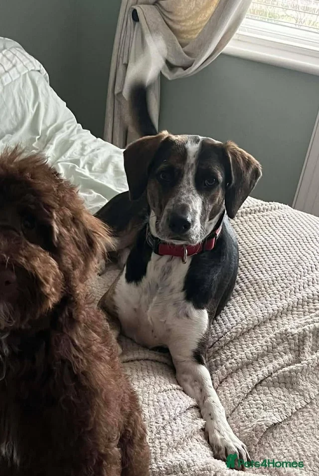 originalImage (7).webp