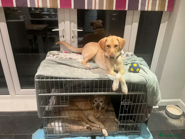 originalImage (2).webp