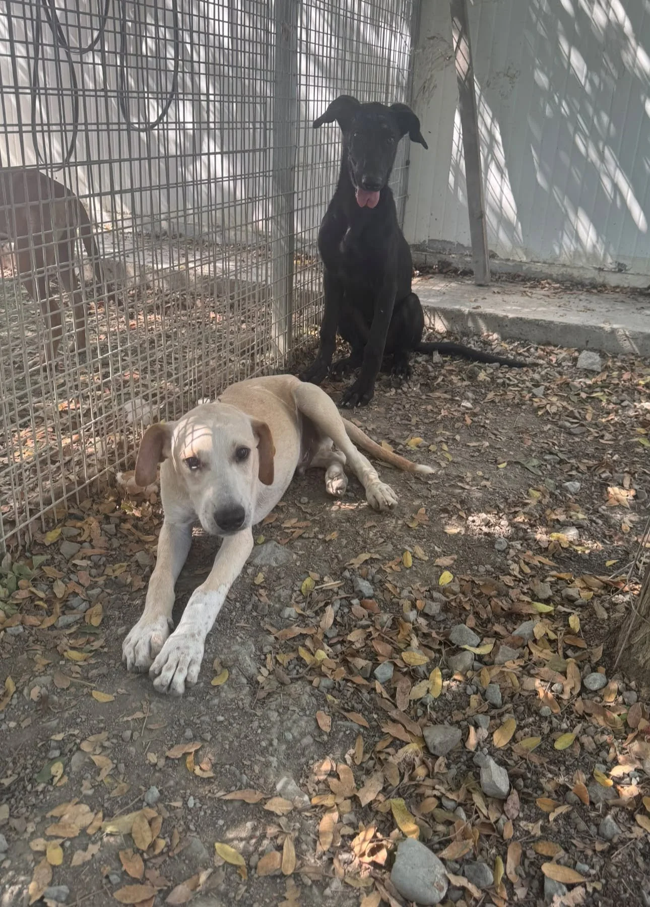 750439661_10164982302760288_1222976119168433191_n.jpg