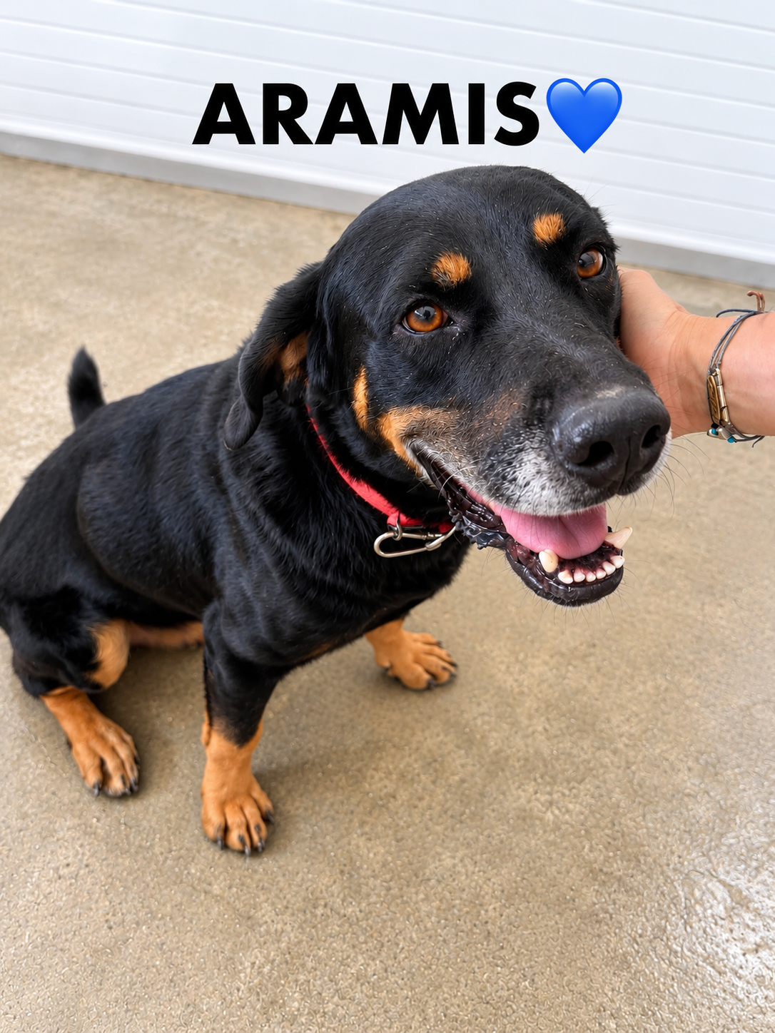 Aramis 🇨🇾