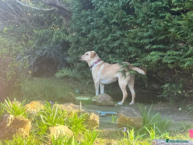 originalImage (1).webp