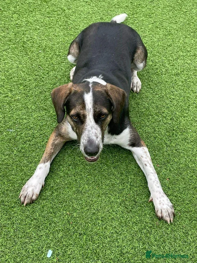 originalImage (2).webp