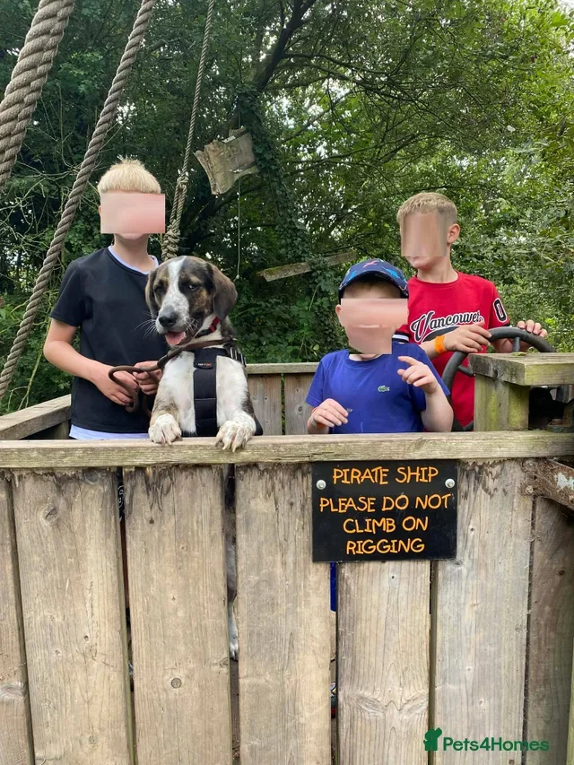 originalImage (4).webp