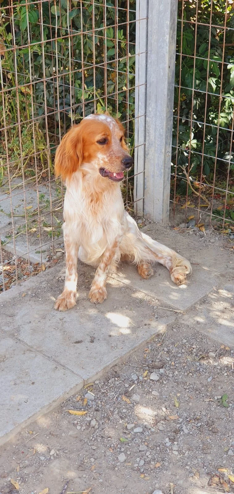 702355057_10164682455950288_5887944507725580059_n.jpg