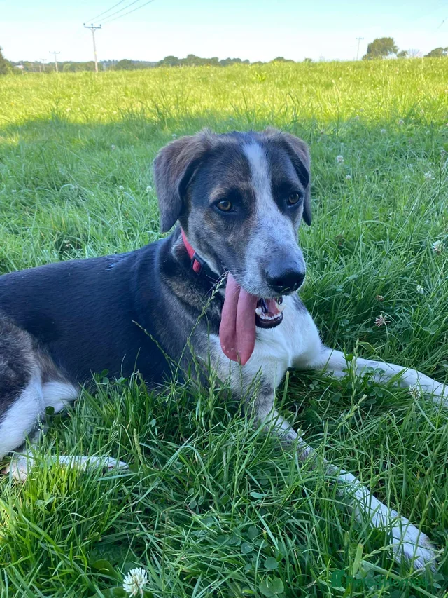 originalImage (3).webp