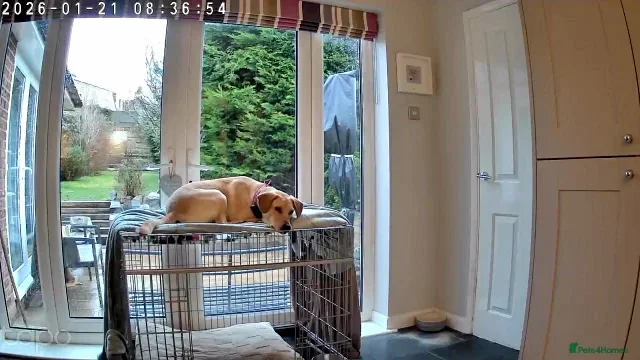 originalImage (5).webp