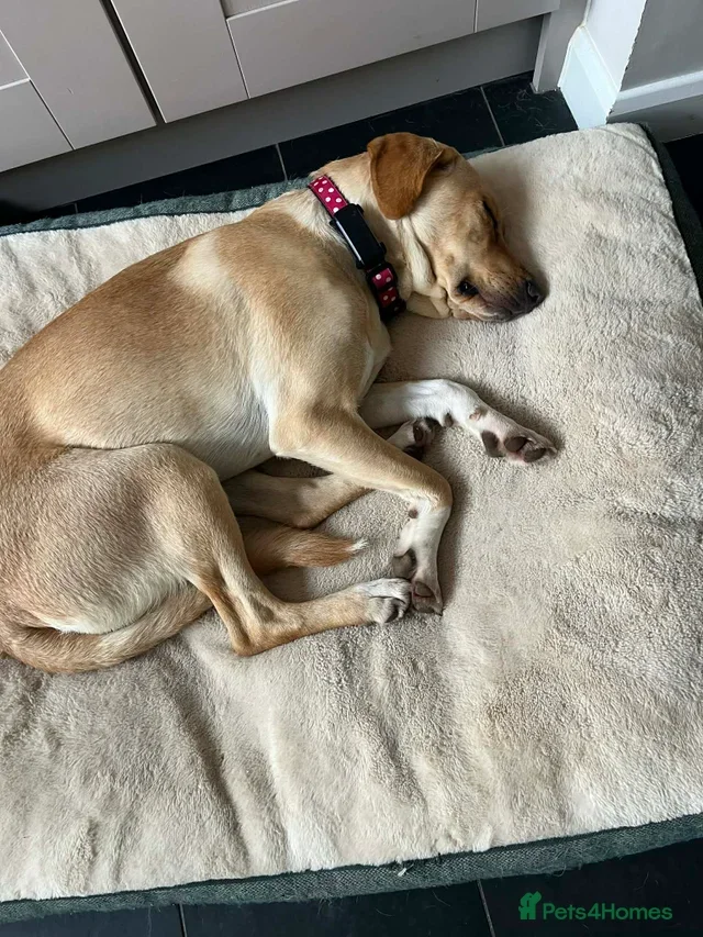 originalImage (4).webp