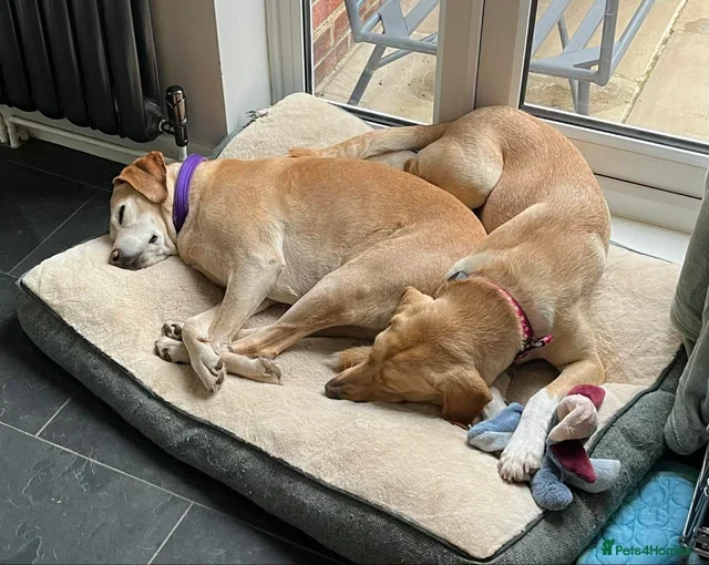 originalImage (3).webp