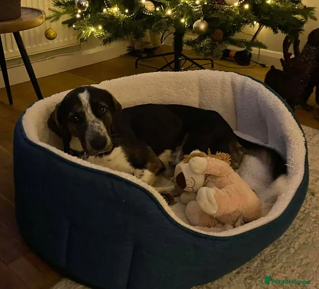 originalImage (5).webp