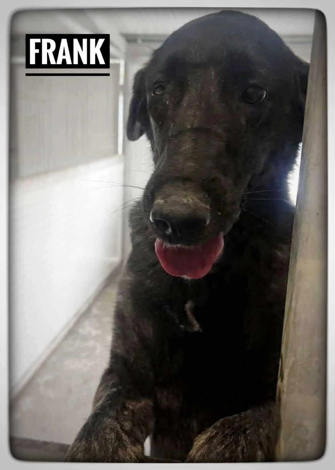 Frank