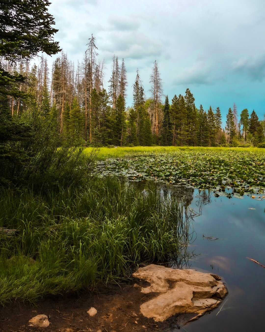 Lily Pad Lake, Silverthorne, CO⁠
⁠
---⁠
⁠
#lilypadlaketrail #travelcolorado #coloradoliving #coloradohikes #silverthorne #colorado #hikingtrail #coloradohiking #outdoorlife #wilderness #exploremore #mountain #traveladventures #allaboutadventures #emb
