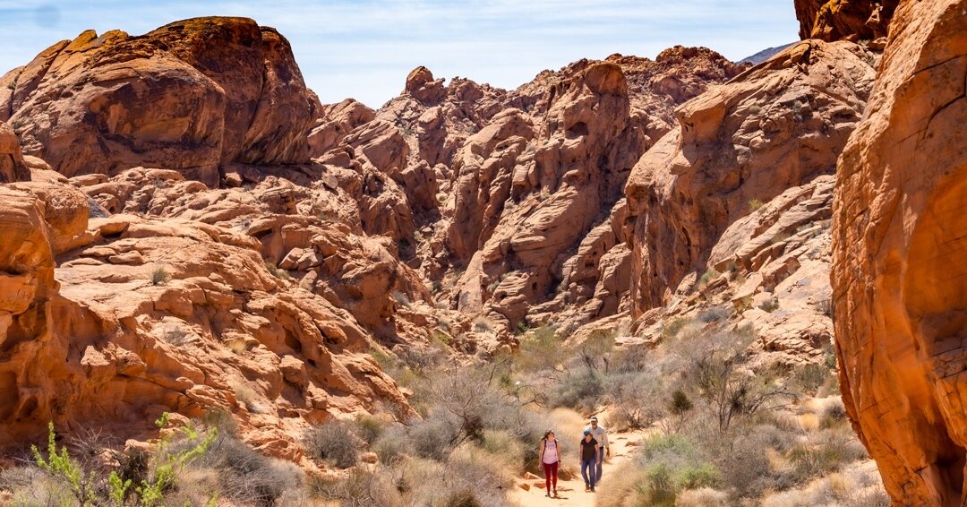 Rainbow Vista Trail at Valley of Fire State Park, Nevada⁠
⁠
---⁠
⁠
#valleyoffirestatepark #valleyoffire #nevada #visitnevada #nationalpark #lasvegas #vegaslife #nevada #desertlife #desertvibes #nevadadesert #mojavedesert #valledefuego