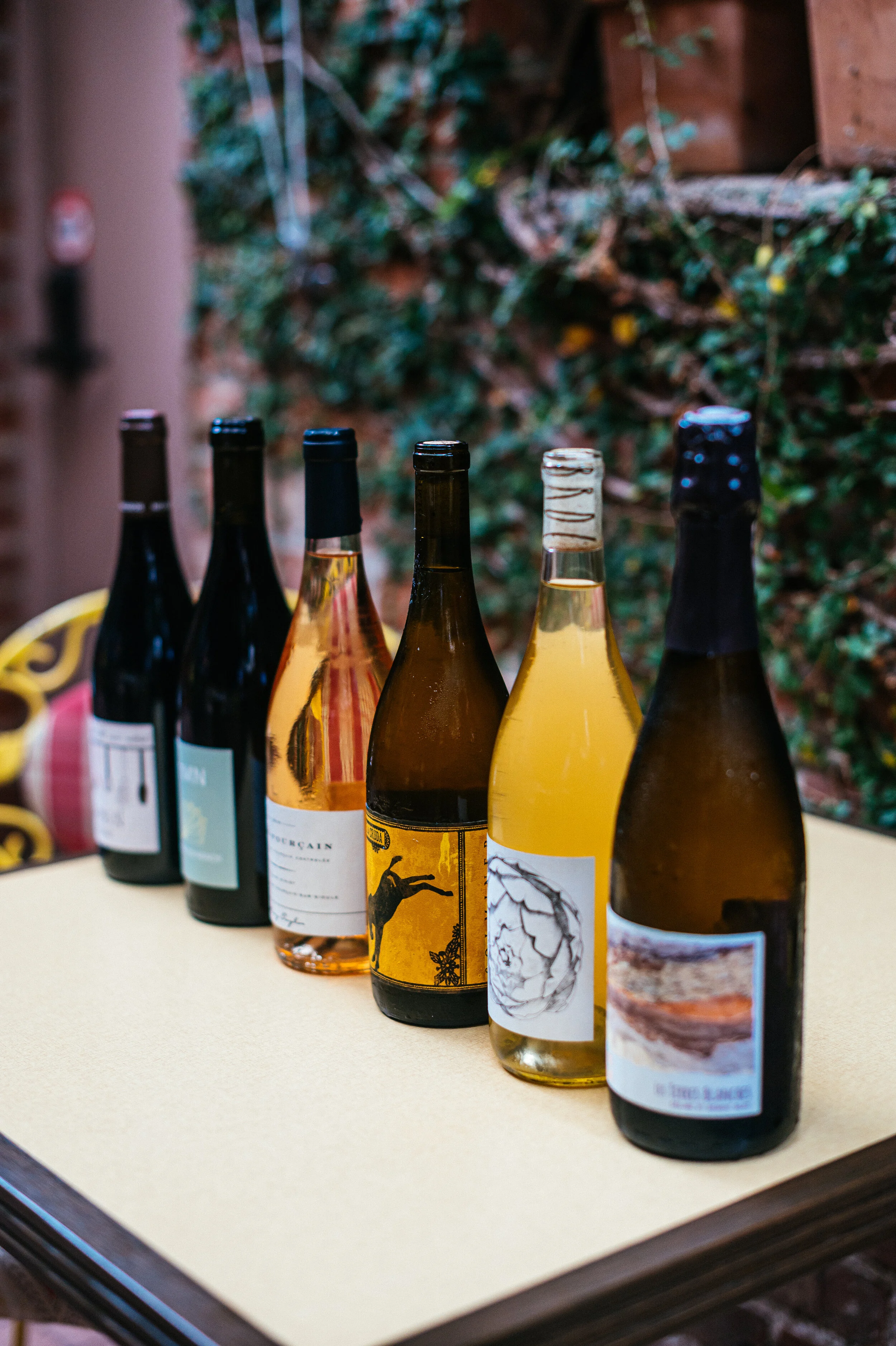 Venus in Furs - Wine photo by Rob Tran.jpeg