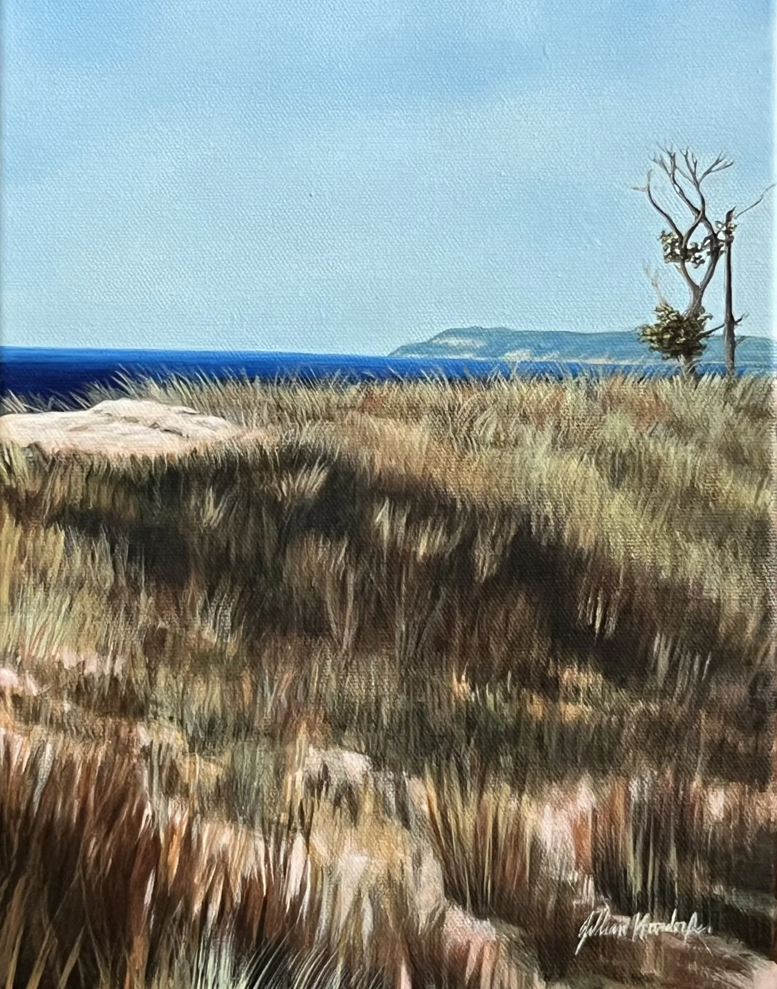 Longing for the Dunes