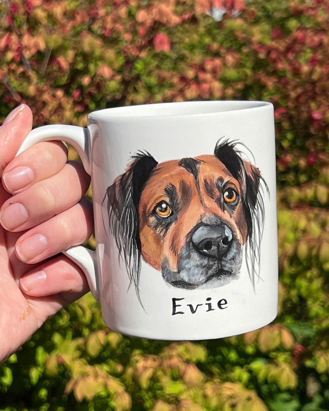 Evie.jpg