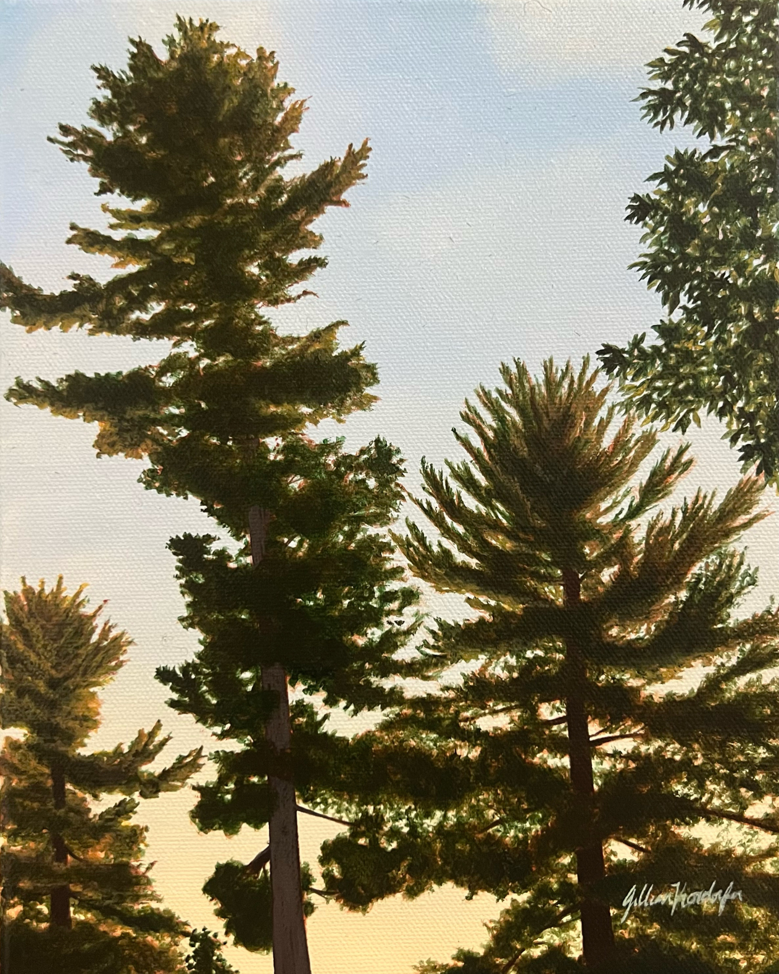 Morning Light.png