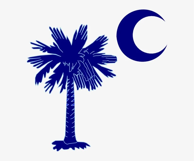 52-528331_palmetto-tree-and-crescent-moon-south-carolina-palmetto.png.jpeg