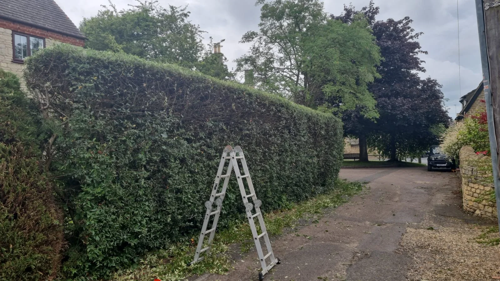 WhatsApp Image 2022-01-04 at 23.20.46.jpeg