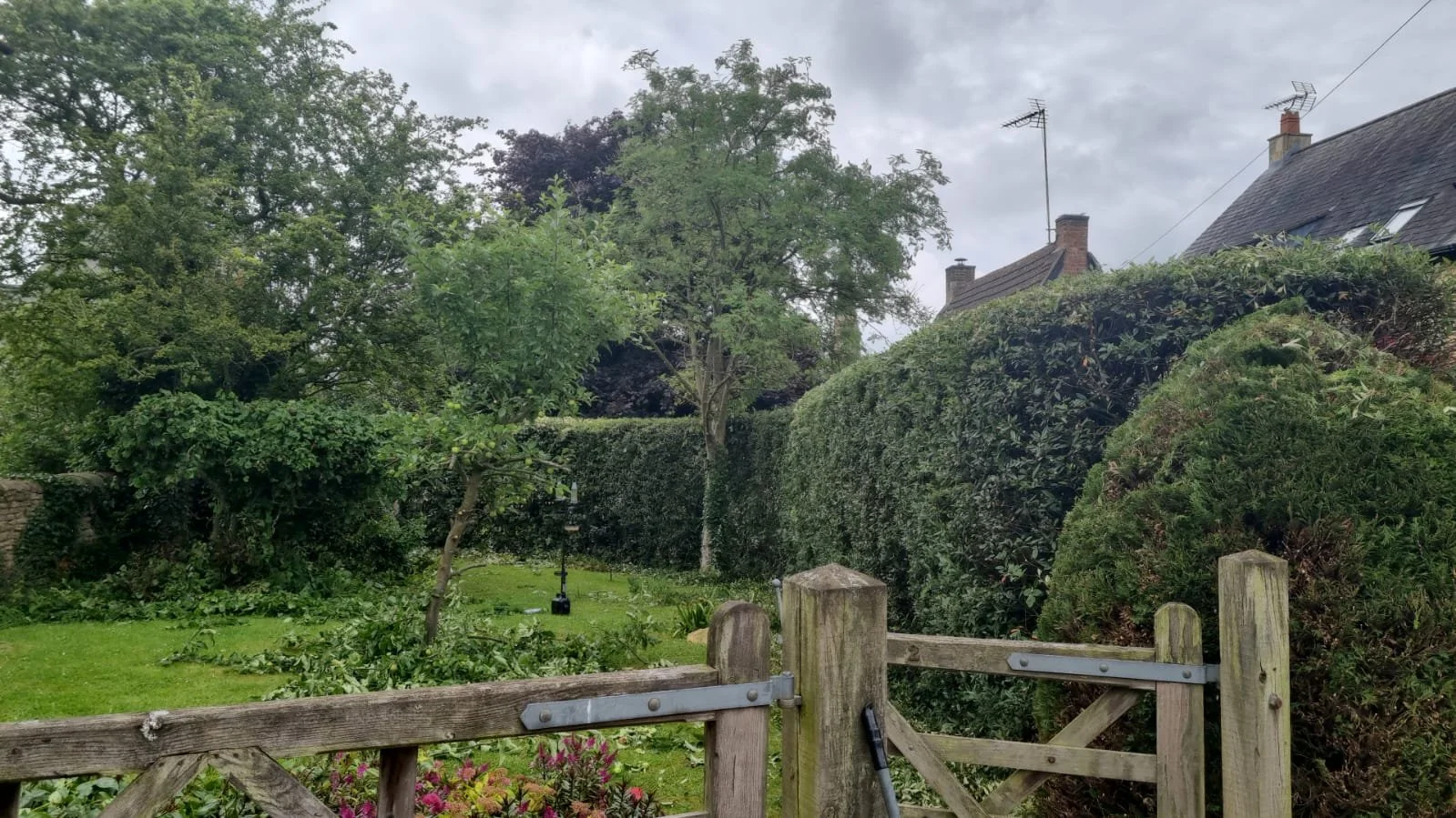 WhatsApp Image 2022-01-04 at 23.20.46 (1).jpeg