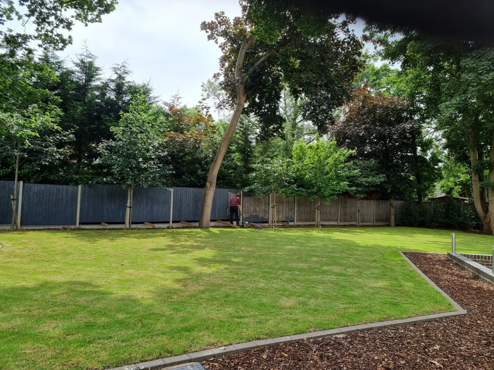 WhatsApp Image 2022-01-04 at 23.23.44.jpeg