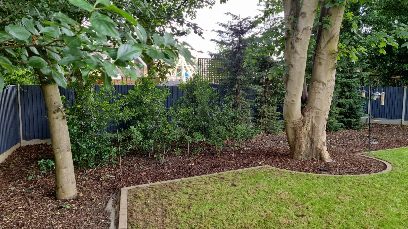 WhatsApp Image 2022-01-04 at 23.23.17.jpeg