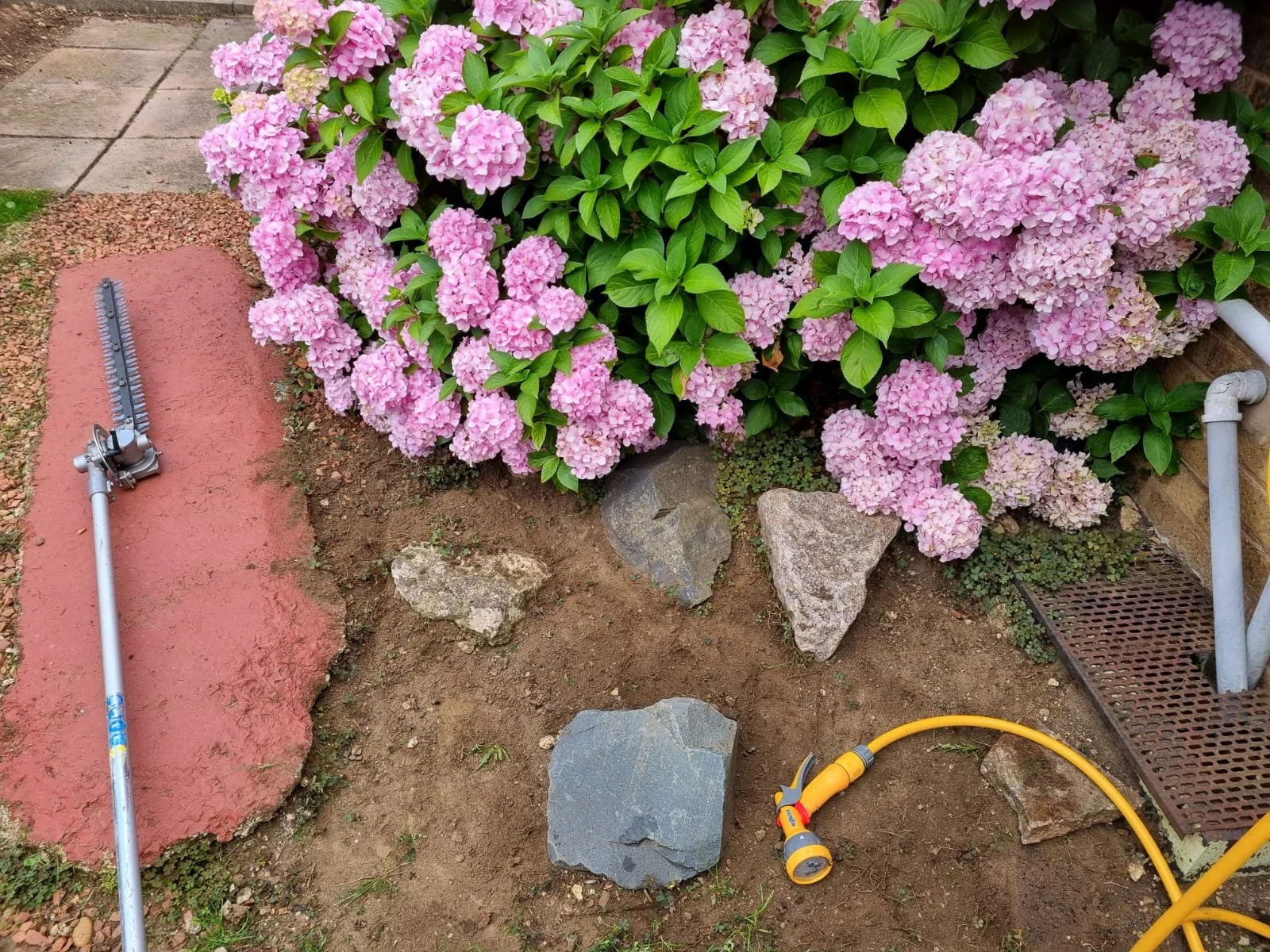 WhatsApp Image 2022-01-04 at 23.20.40.jpeg