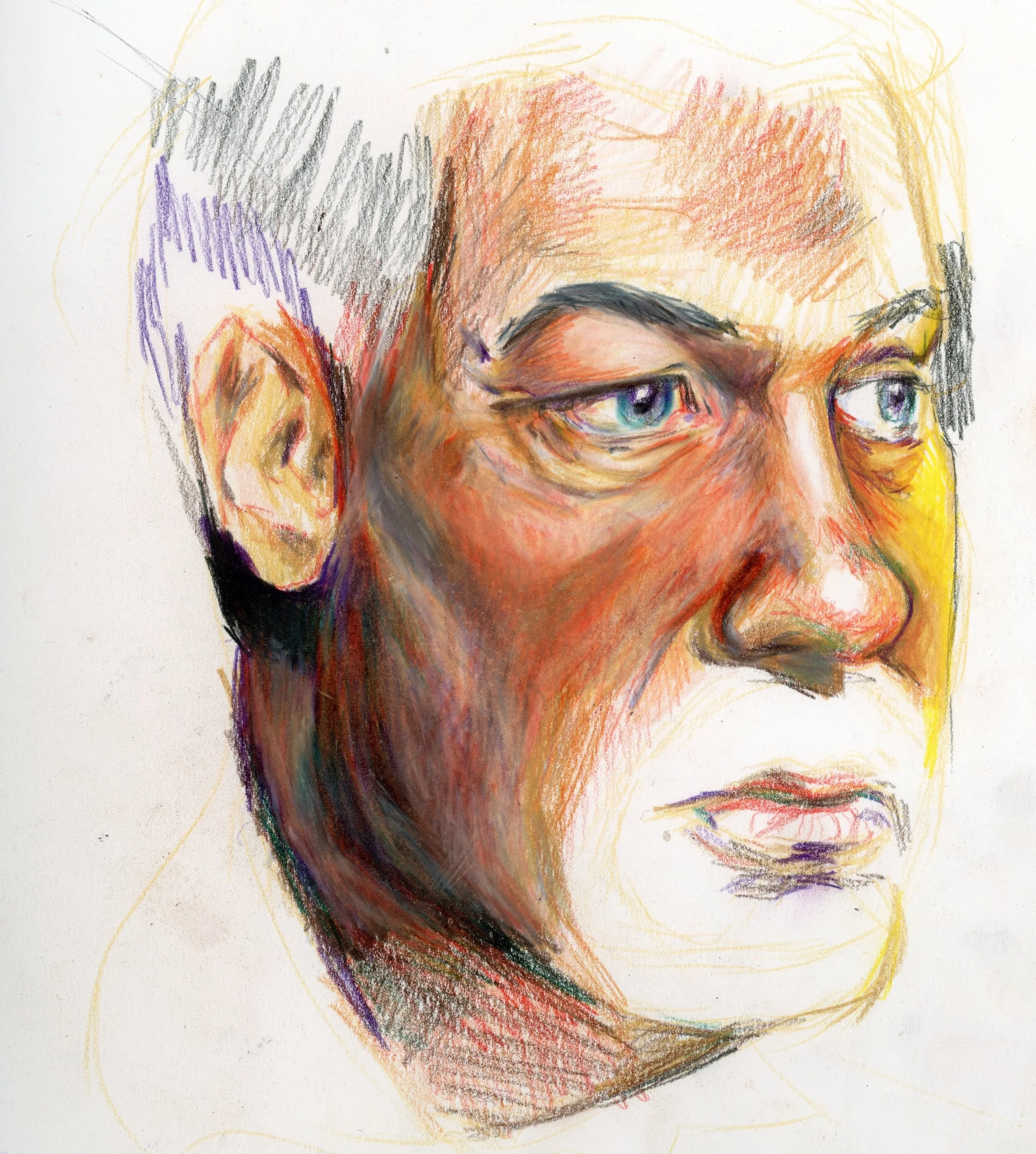 study in sketchbook. oil based colored pencil