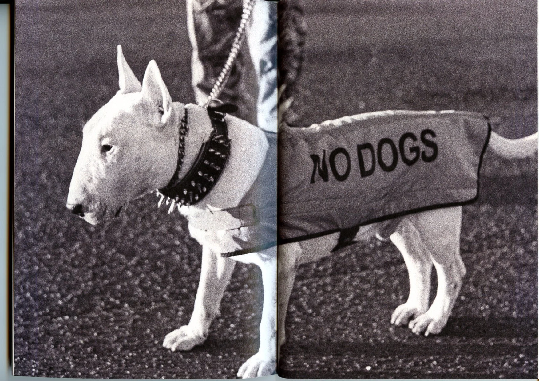 FINALSCANS03.jpg
