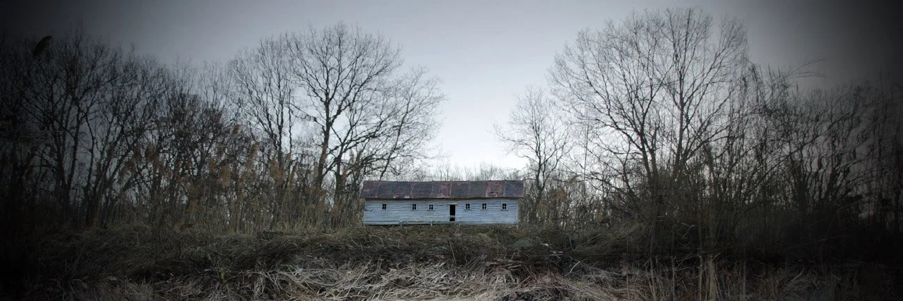 Duckweed+House+copy.jpg