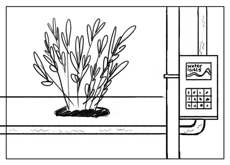 sketch-5.jpg