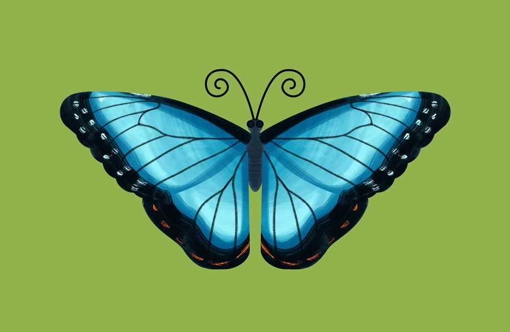 butterfly.jpg