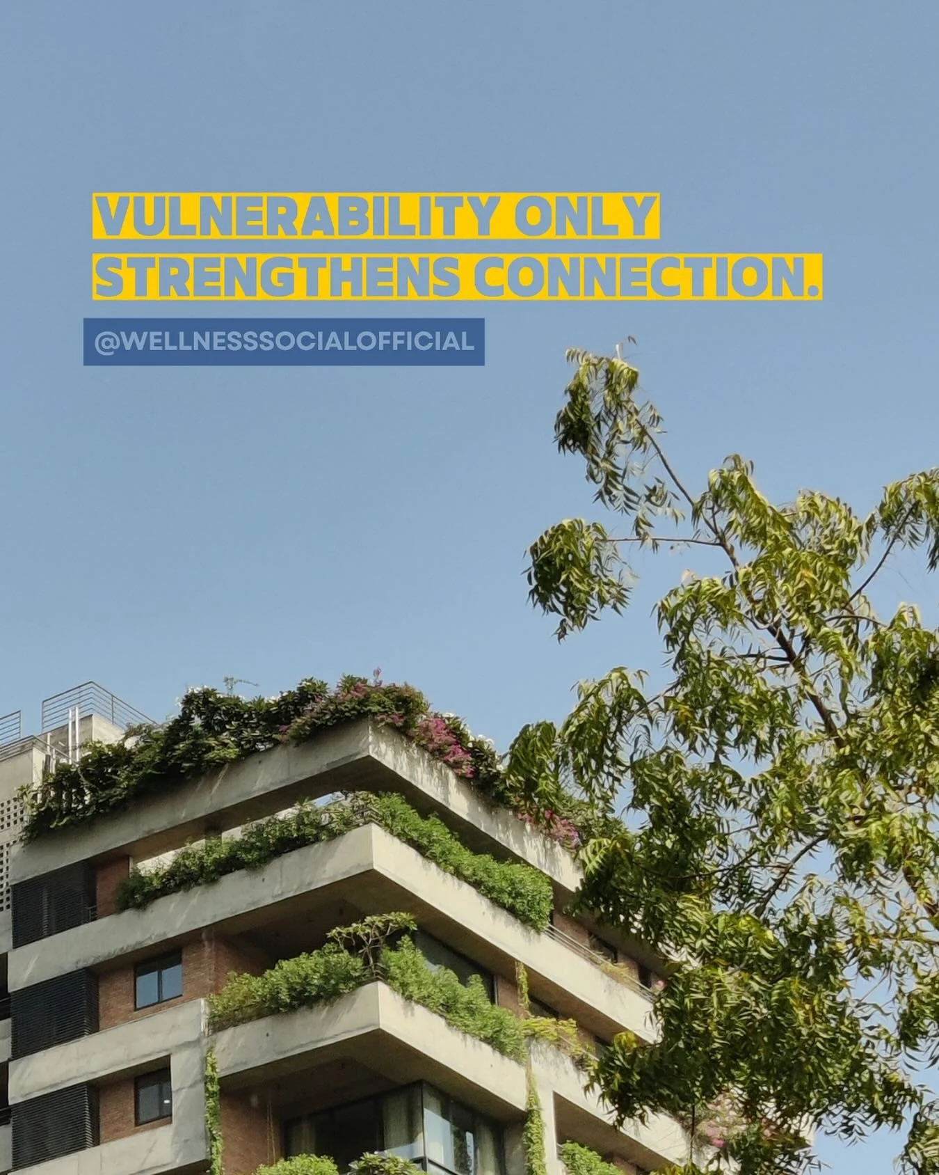 And your next Therapist is the one person you SHOULD FEEL ABLE TO BE VULNERABLE WITH.

So come meet one in person and see if your vibe matches ours!

🗓️November Wellness Social 

@plantiitas 

11/1

11am-1pm

Because finding a Therapist shouldn&rsqu