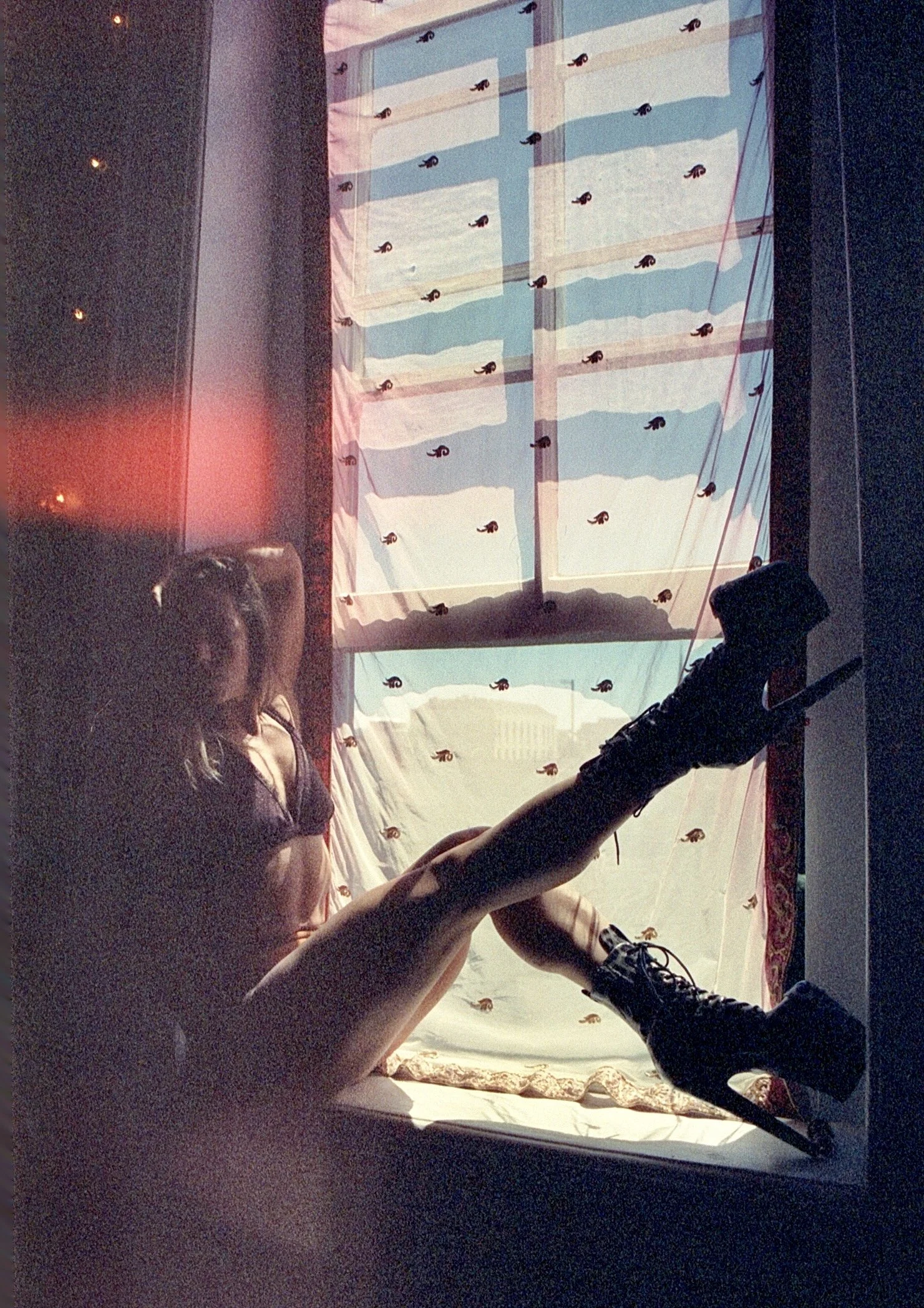carolyn window.jpg