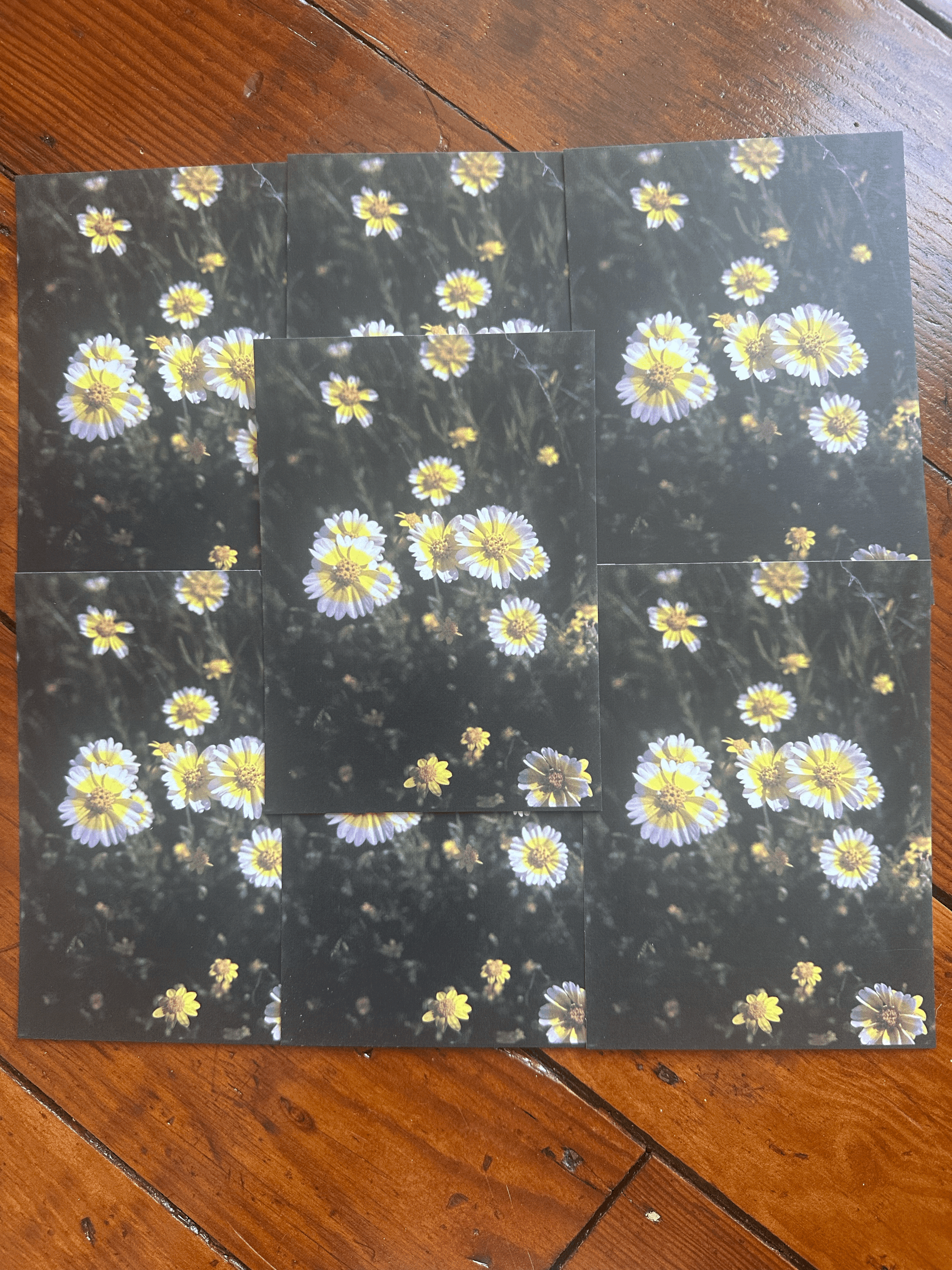 tempImageNnUx8p.gif