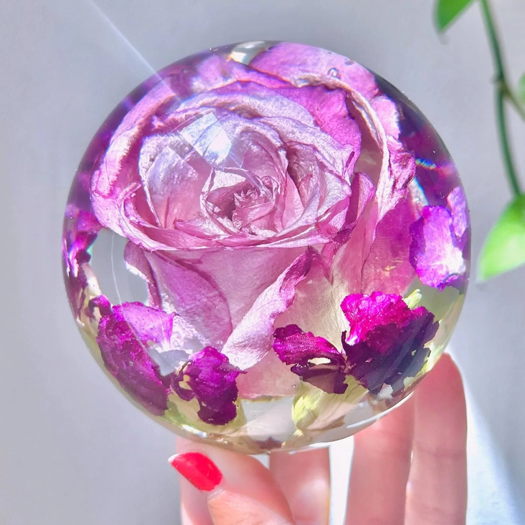 Custom Flower Preservation Sphere