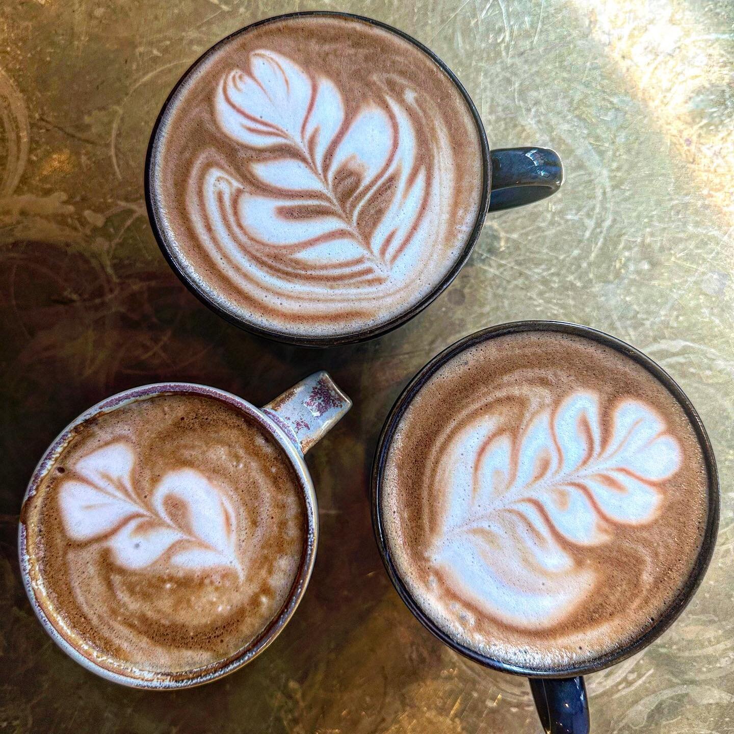 Latte Art-leaf 🌱
@cafesauvageboston &hearts;️