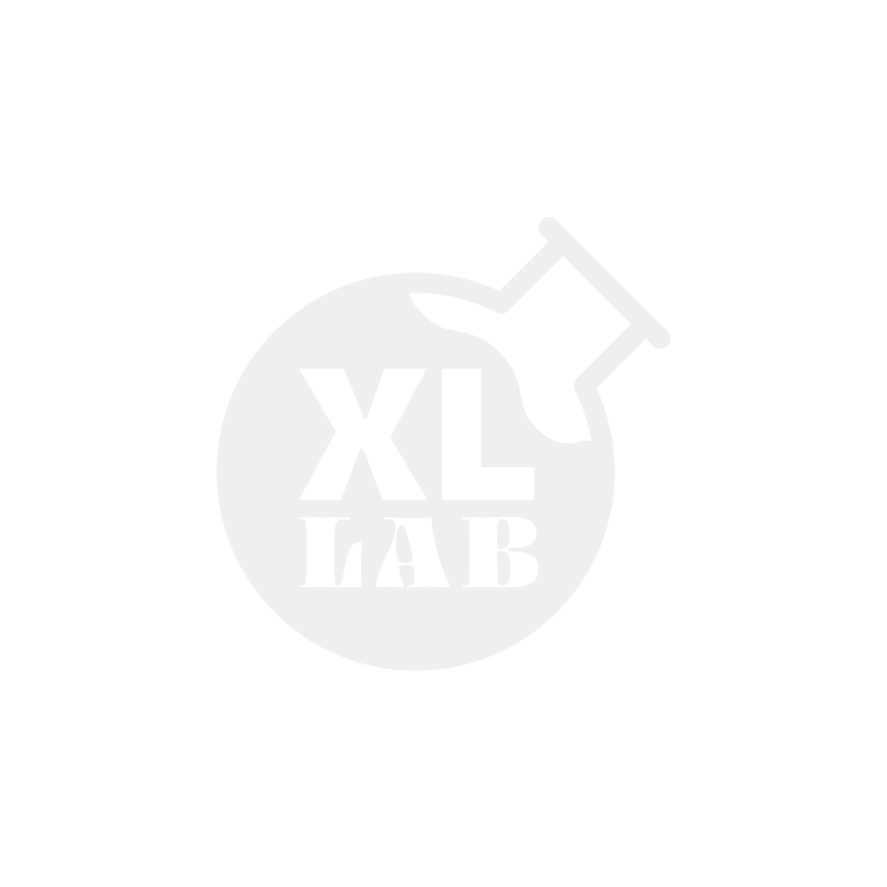 XL Fest.png