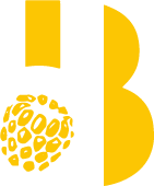 Asset 5.png
