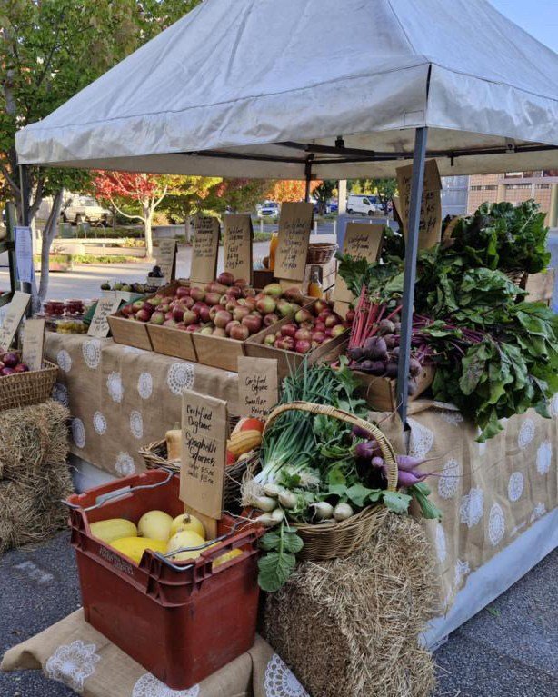 This Sunday, 8th June, the seasonal Rockley Artisan Markets are back &mdash; and you won&rsquo;t want to miss them! 

From fresh organic produce by @fardonsonsorganics  to handcrafted treasures from @ravenhandcrafteddesigns, there&rsquo;s something f