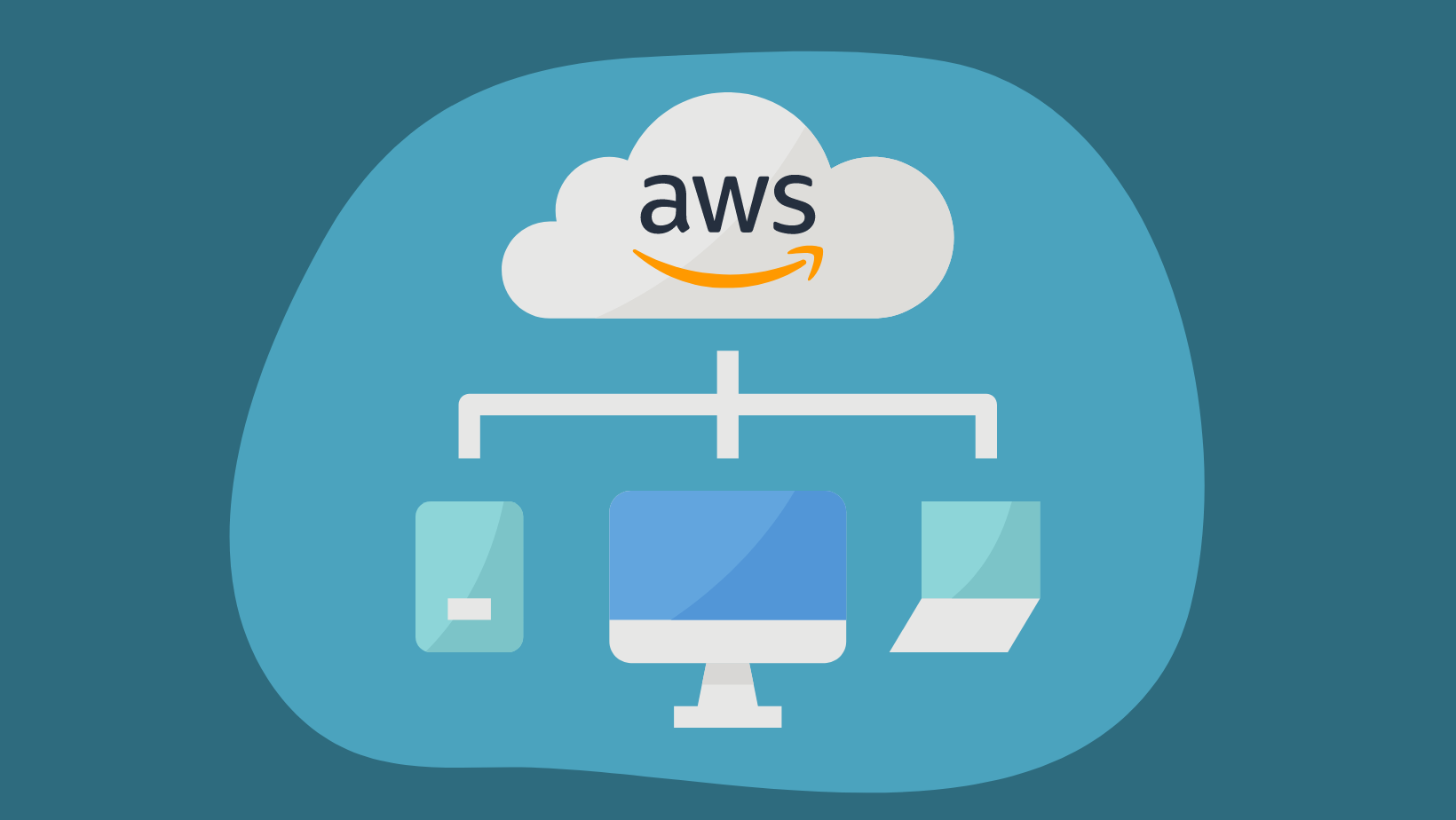 case study on amazon cloud service provider