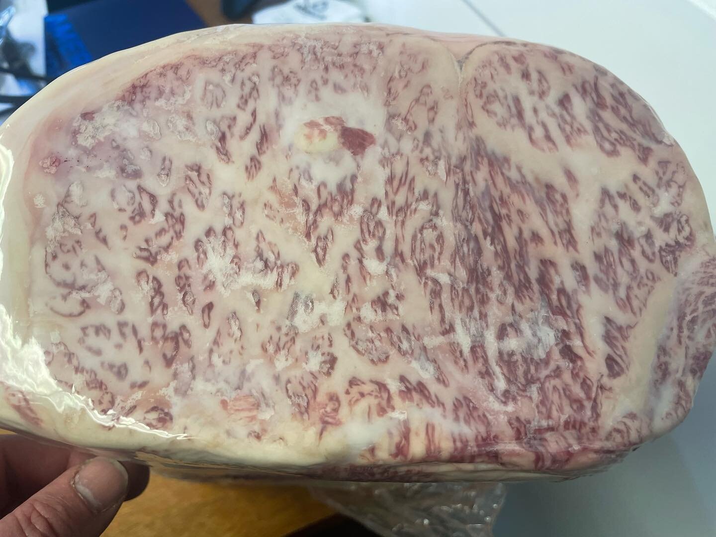 A5 Wagyu , marbling score 12 !

My first time getting to hold this type of beef. I can&rsquo;t wait to get to work with it on a regular basis now. 

We also have A5, marbling score 8 tenderloin available. Do you have much experience with Wagyu? Any s