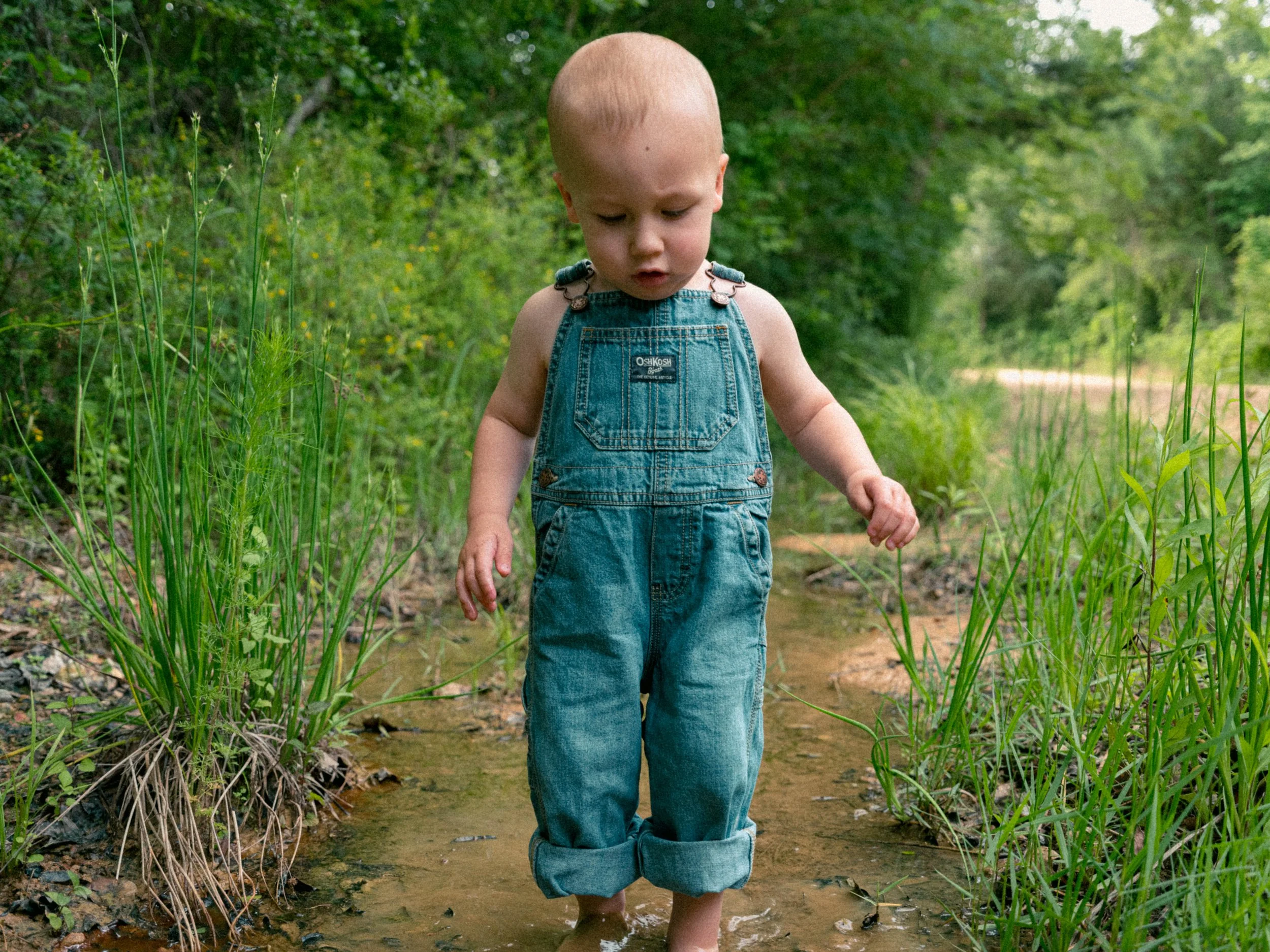 A young child with a shaved head, wearing denim overalls, walking through a shallow creek in a lush green forest.