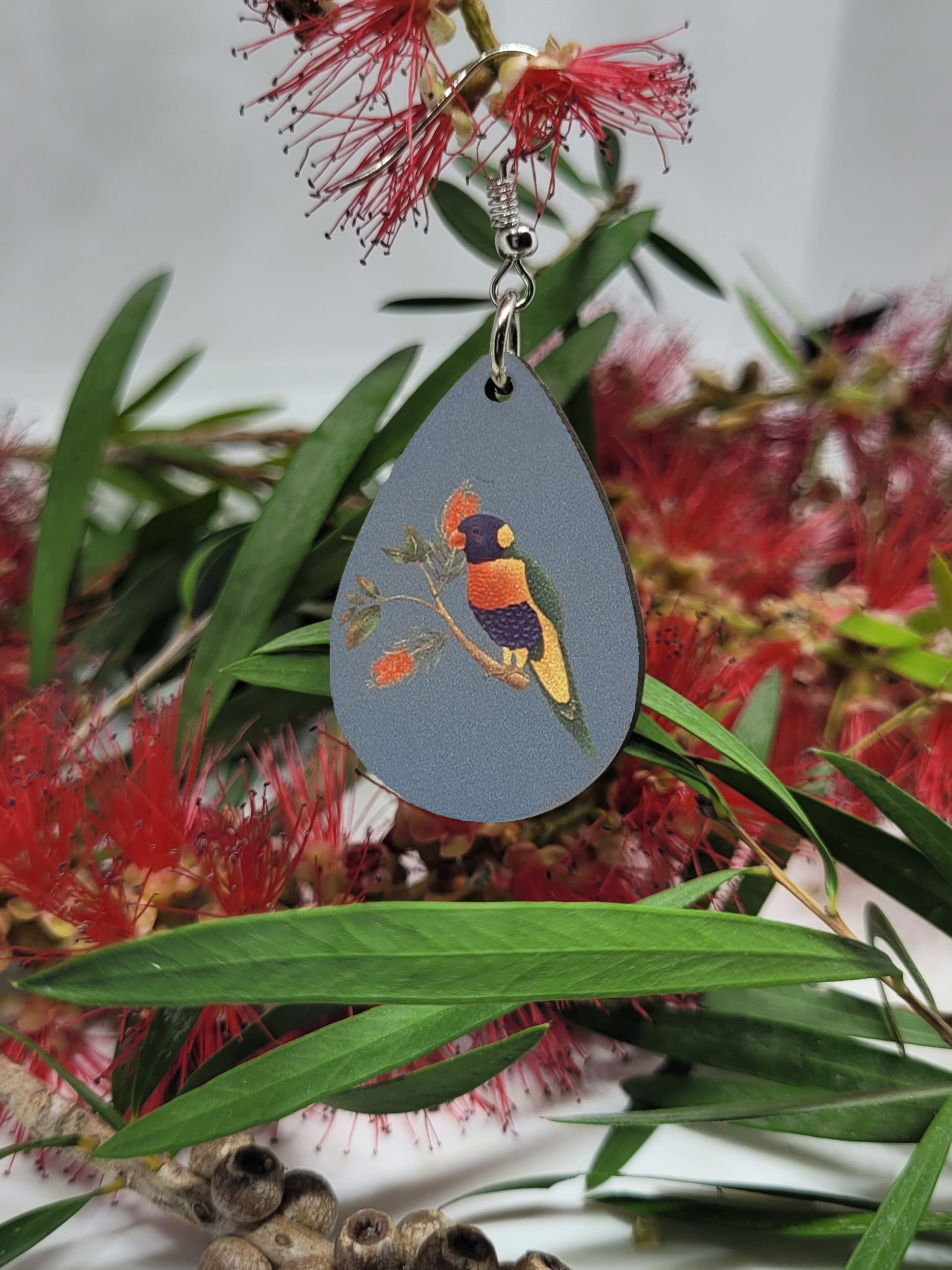 lorikeet teardrop.png
