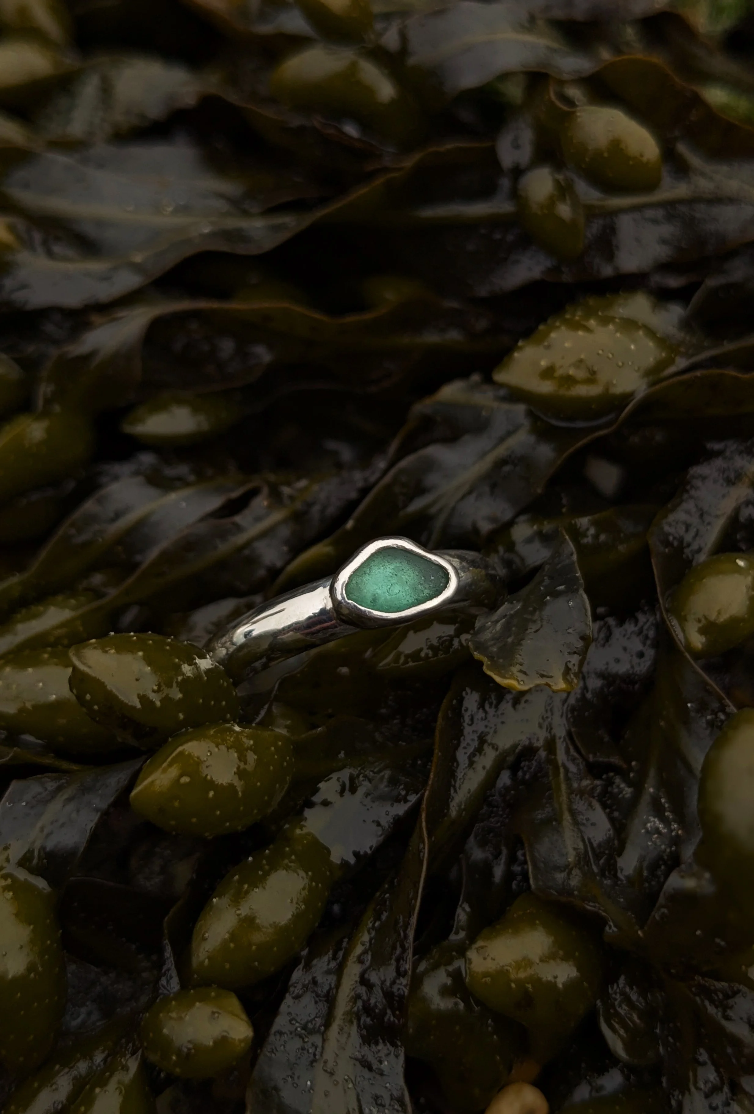 pxl_20260419_185326311.portrait copy.jpg