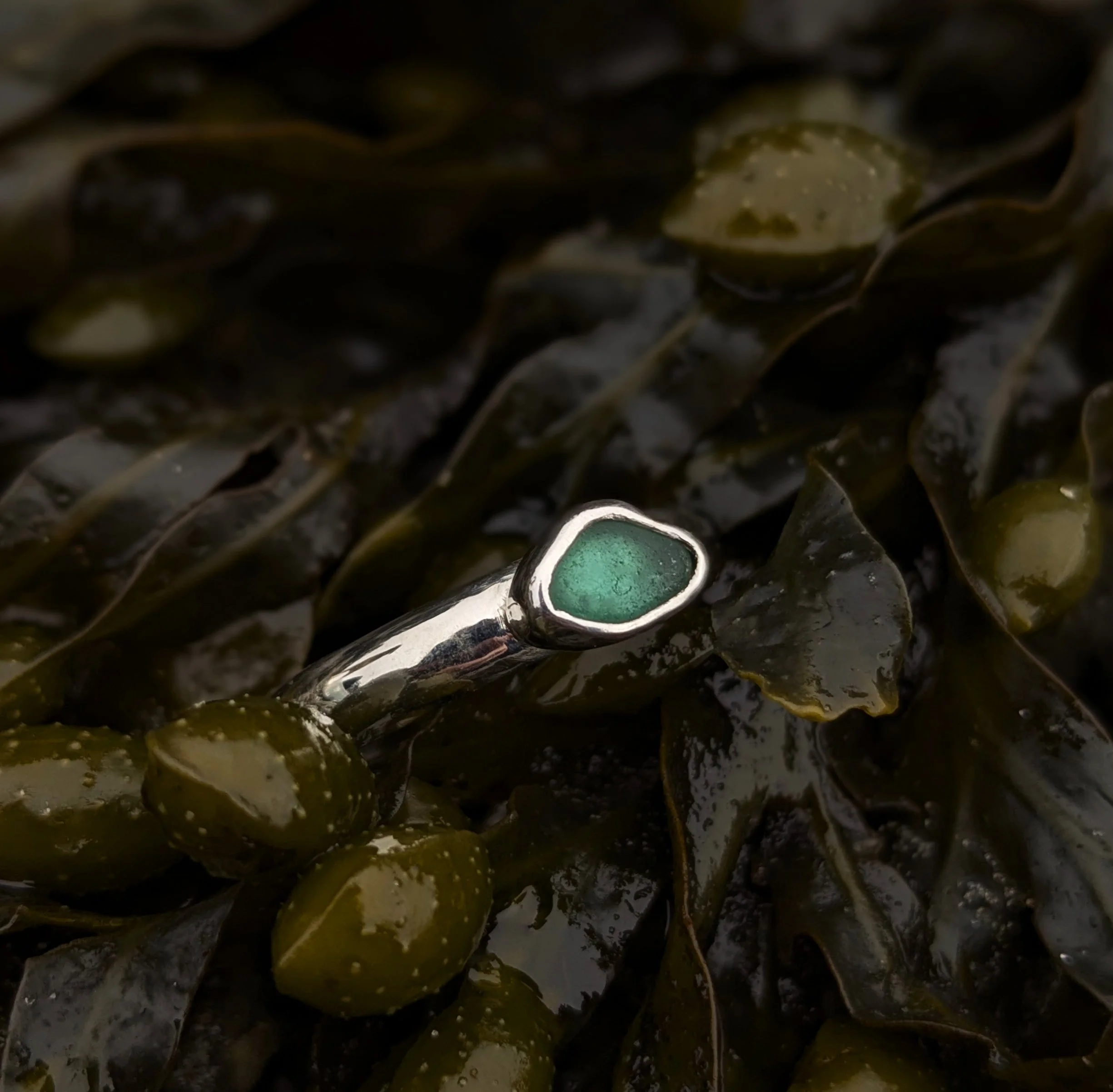 pxl_20260419_185329053.portrait copy.jpg