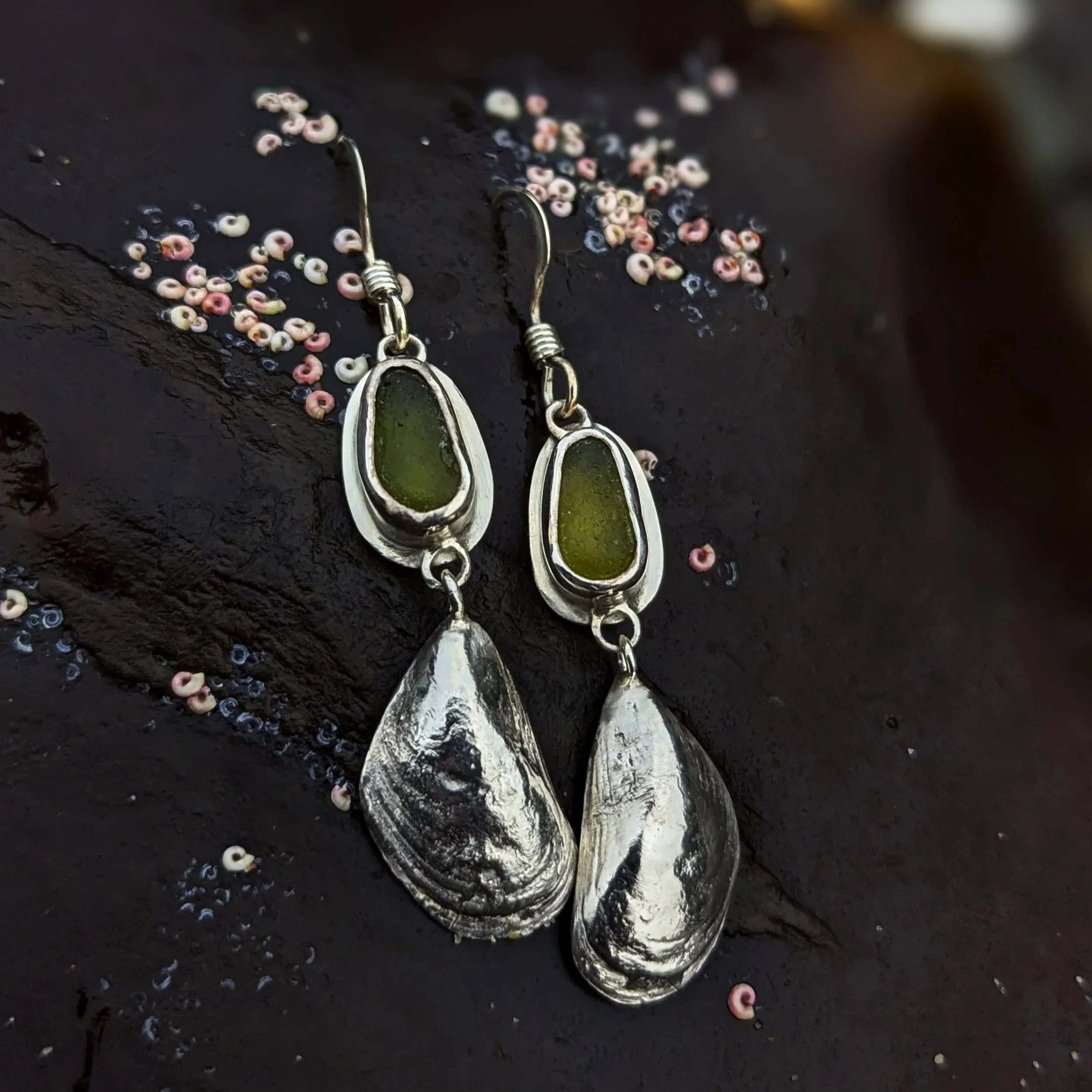 Mollusk | Genuine Sea Glass Earrings