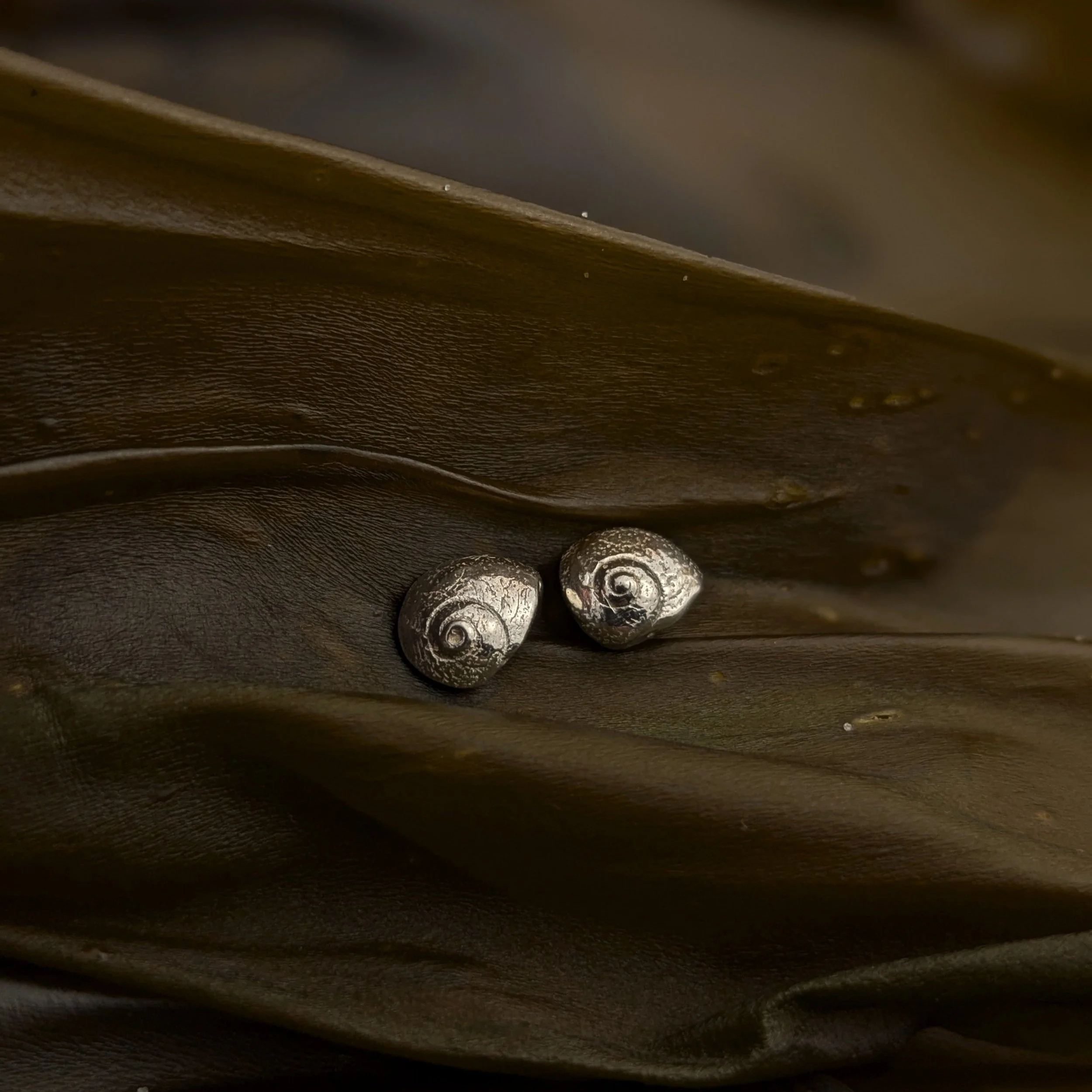 Moon Snail Studs | Recycled Sterling Silver Stud Earrings
